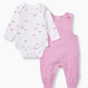 Burts Bees Baby Tortoise Onesie and Overalls Set 🐢